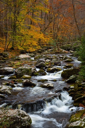 Laurel-Creek-Autumn-Great-Smoky-Mountains-Tennessee