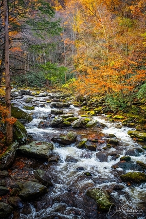 Laurel-Creek-Autumn-Great-Smoky-Mtns-Tennessee