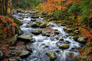 Laurel-Creek-in-Great-Smoky-Mountains-Tennessee