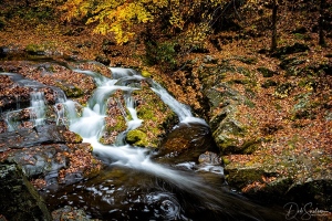 West-Prong-Little-River-Great-Smoky-Mountains-Autumn-Townsend-Tennessee