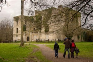 Donadea-Castle-Kildare-Ireland