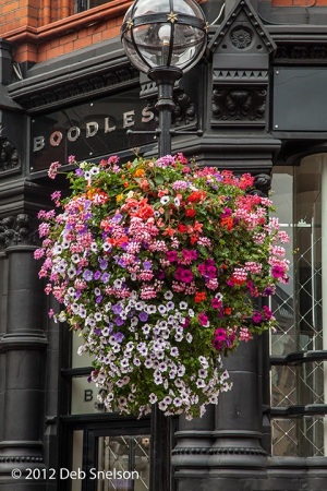 Flowers-on-Grafton-Street-Dublin-Ireland