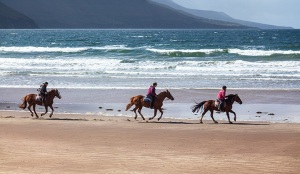 Horseback-riding-on-White-Strand-Glenbeigh-Kerry-Ireland