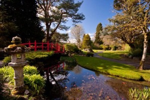 Japanese-Garden-National-Stud-Kildare-Ireland