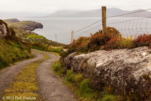 Kildreelig-and-Bolus-Head-views-Ivernagh-Kerry-Ireland
