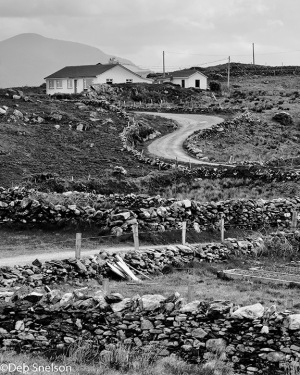 Road-to-Renvyl-Ardnagreevah-County-Galway-Ireland
