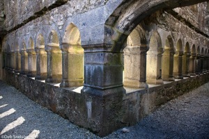 Ross-Errilly-Friary-cloisters-County-Galway-Ireland