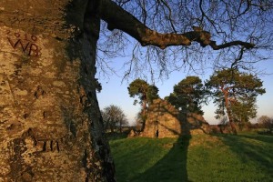 St-Mella-Cell-Lemanaghan-Offaly-Ireland