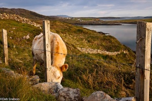 Upper-Sky-Road-Clifden-County-Galway-Ireland