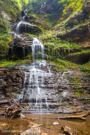 Cathedral-Falls-on-the-Cane-Branch-a-tributary-of-the-New-River-Gauley-Bridge-West-Virginia-WV
