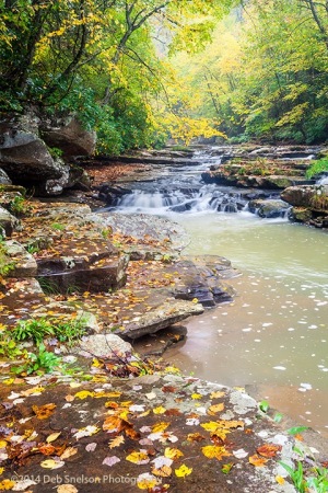 Mill-Creek-a-New-River-Tributary-in-Ansted-West-Virginia-WV-a-Waterfall-in-Autumn