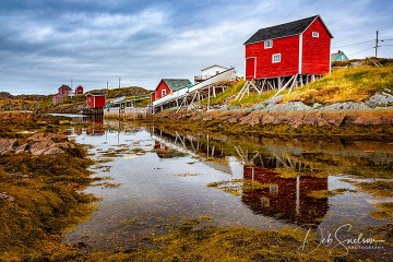 Change-Islands-historical-cod-processing-stages-Newfoundland-Canada