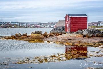 Fishery-Store-in-Tilting-NL-Canada