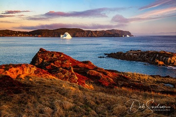 Sunrise-Lights-Twillingate-Iceberg-NL-Canada