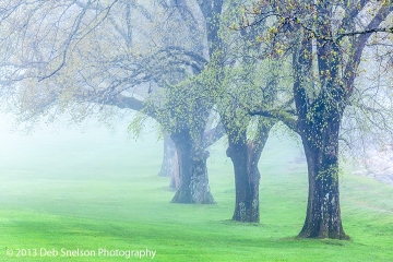 4 Lunenburg Spring Fog Nova Scotia Canada