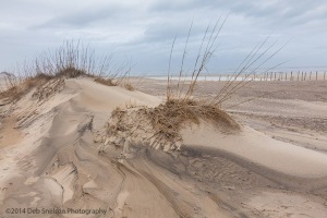 A-Sand-Dune-at-Outer-Banks-North-Carolina