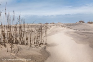 A-Walk-to-the-Beach-at-Outer-Banks-North-Carolina