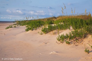 Early-morning-light-on-Salvo-Beach-Outer-Banks-OBX-North-Carolina-NC