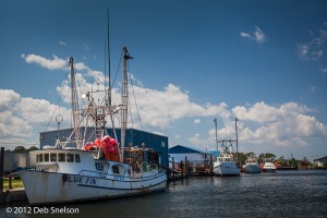 Fishing-boats-Wanchese-Harbour-Roanoke-Island-Outer-Banks-North-Carolina