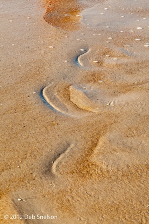 Footprints-on-the-Beach-Outer-Banks-North-Carolina-NC-Salvo