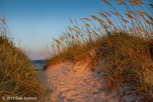 Salvo-Dune-access-to-beach-sunset-Outer-Banks-North-Carolina-2