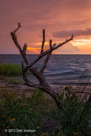 Sunset-on-the-Sound-Pamlico-Sound-Outer-Banks-Salvo-Beach-North-Carolina-NC