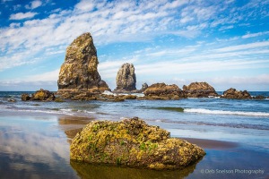 Cannon-Beach-Oregon-Morning-Low-Tide-c48