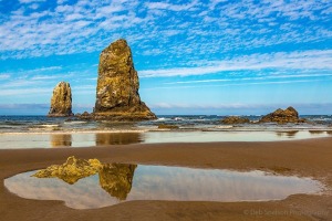 Cannon-Beach-and-Sea-Stacks-Reflections-Oregon-c96