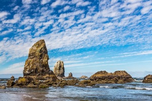 Cannon-Beach-and-Sea-Stacks-in-the-morning-on-Oregon-Coast-c77