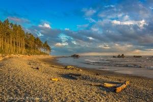 Golden-Light-on-Ruby-Beach-Olympic-National-Park-Washington