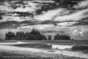 Rialto-Beach-Olympic-National-Park-Washington