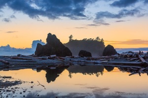 Ruby-Beach-Twilight-Glow-Olympic-National-Park-Washington