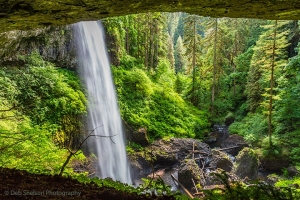 View-into-the-Valley-from-Behind-North-Falls-at-Silver-Falls-SP-Or