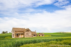Abandoned-farmhouse-Old-Weber-House-Pullman-Palouse-Washington-c95
