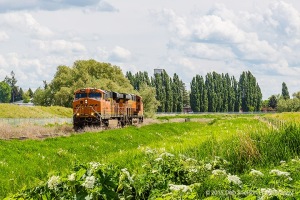 Boise-Train-Colfax-Washington-Palouse