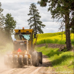 Canola-fields-rape-seed-mustard-tractor-Colfax-Washington-Palouse-Morley-Rd