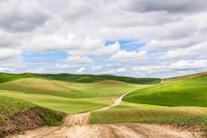 Dirt-Road-Enos-Rd-Colfax-Washington-Palouse