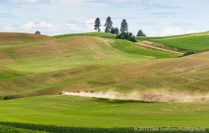 Dirt-road-with-dust-trail-Colfax-Washington-Palouse