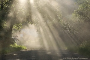 Dust-beams-backroad-Colfax-Washington-Palouse