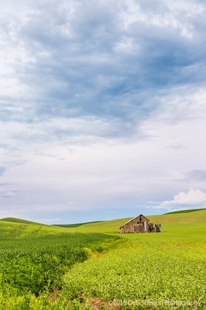 Lone-Shed-mm33-rte-270-at-sunset-Pullman-Washington-Palouse