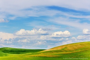 Palouse-Hills-Abstract-Colfax-Washington-Palouse-c26