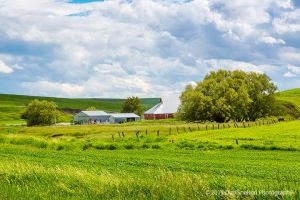 Red-Barn-Complex-Uniontown-Road-Washington-Palouse