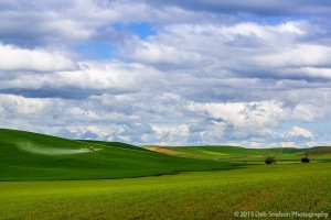 Scenic-vista-with-crop-duster-Washington-Palouse