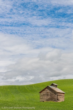 Shed-on-Green-Colfax-Washington-Palouse