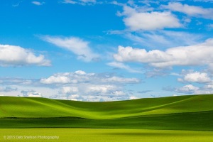 Simple-Scenic-layers-Uniontown-Road-Washington-Palouse