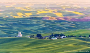 Steptoe-Butte-Golden-Hilltops-Colfax-Washington-Palouse