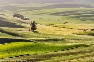 Steptoe-Butte-Green-Valley-Colfax-Washington-Palouse