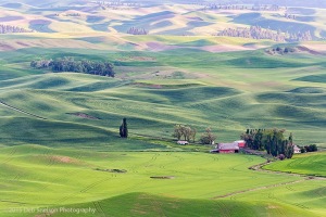 Steptoe-Butte-Red-Barn-Colfax-Washington-Palouse