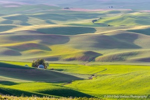 Steptoe-Butte-Sunset-with-backlit-hills-Colfax-Whitman-County-Washington-Palouse