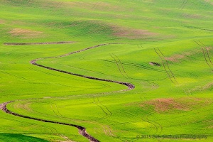 Steptoe-Butte-View-patterns-Colfax-Washington-Palouse